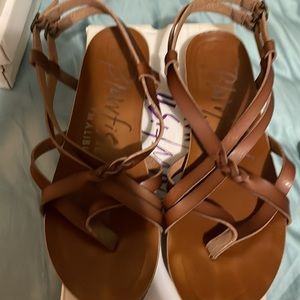 Brand new blowfish sandal